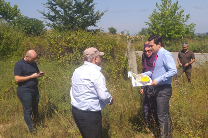 Yalova’da geçici hayvan bakım evi çalışmaları başladı