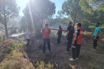 Armutlu'daki orman yangını ile ilgili soruşturma başlatıldı