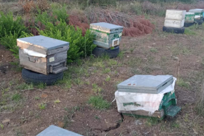 Yalova’da  yangın sonrası arı kovanlarını koruma için seferber oldular