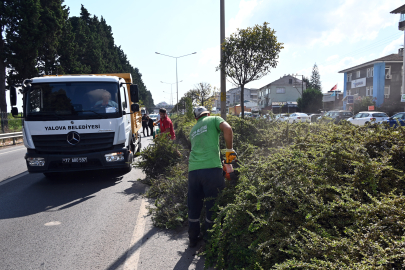 Yalova Belediyesi’nden orta refüjlere kapsamlı temizlik