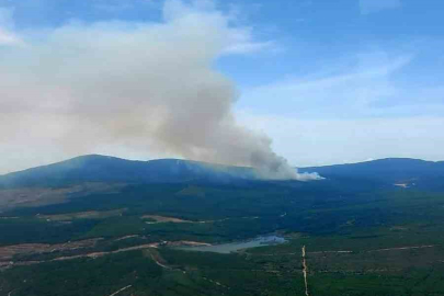 Yalova’da korkutan orman yangını