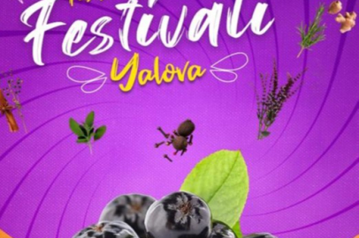 Yalova Aronya Festivali stant başvuruları başladı