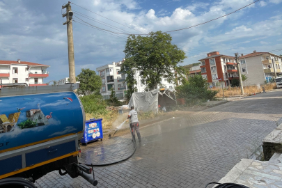 Altınova’da yollar yıkanıyor