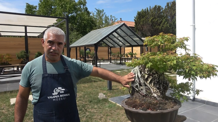 Toprak Dede’nin bonsai koleksiyonu müzede yaşatılıyor