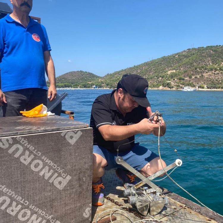 Yalova'da midye üretim tesisleri