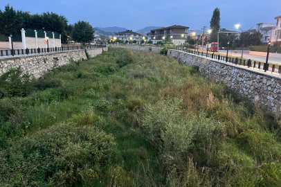 Yalova’da vatandaş bu görüntüden tedirgin