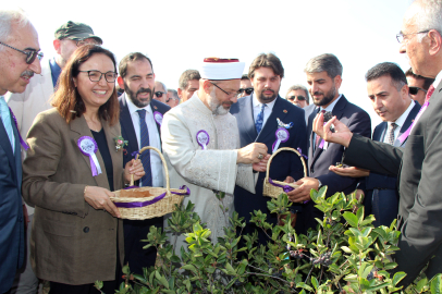 Yalova’da Aronya ve Tıbbi Aromatik Bitkiler Festivali coşkuyla kutlandı