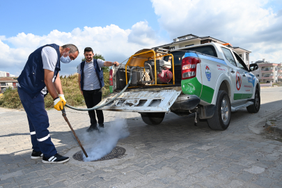 Yalova Belediyesi haşere ve zararlı ilaçlamalarına hız verdi