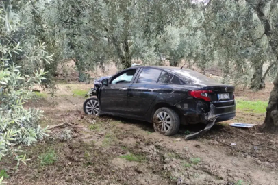 Yalova’da kontrolden çıkan araç zeytin ağaçlarına çarptı