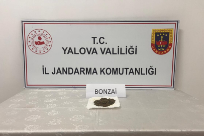 Yalova Jandarmasından uyuşturucu operasyonu! Zehir tacirlerine geçit yok