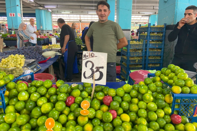 Vitamin deposu mandalina tezgahlarda yerini aldı