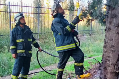 Yalova İsmetpaşa Mahallesi'nde yangın paniği