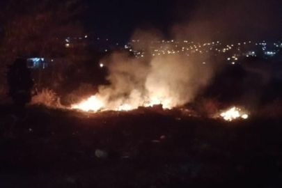 Yalova’da otluk alanda çıkan yangın paniğe neden oldu