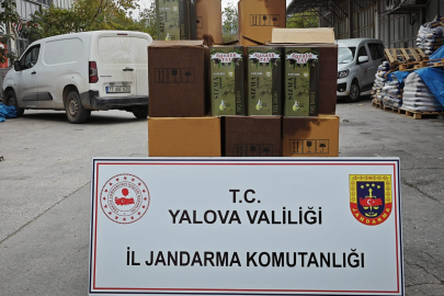 Yalova Kirazlı Sanayi Sitesi'nde taklit zeytinyağı operasyonu