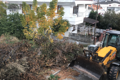 Yalova Belediyesi, peyzaj atıkları çıkartan vatandaşları uyardı