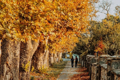 Yalova’da sonbahar güzelliği...