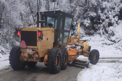 Yalova kar yağışıyla mücadelede başarılı oldu