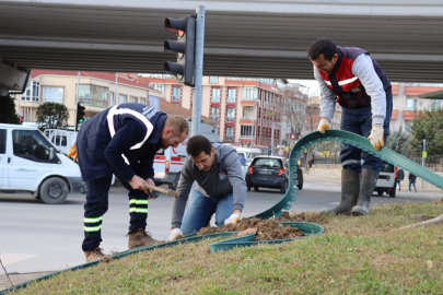 Tonami Meydanı’nda dekoratif peyzaj çalışması