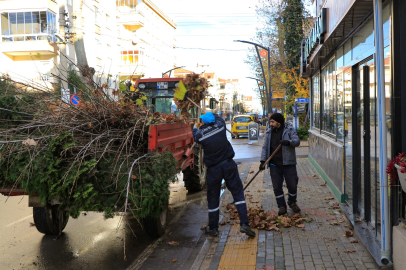 Çiftlikköy’de ağaç bakımı ve budama çalışmaları yapılıyor