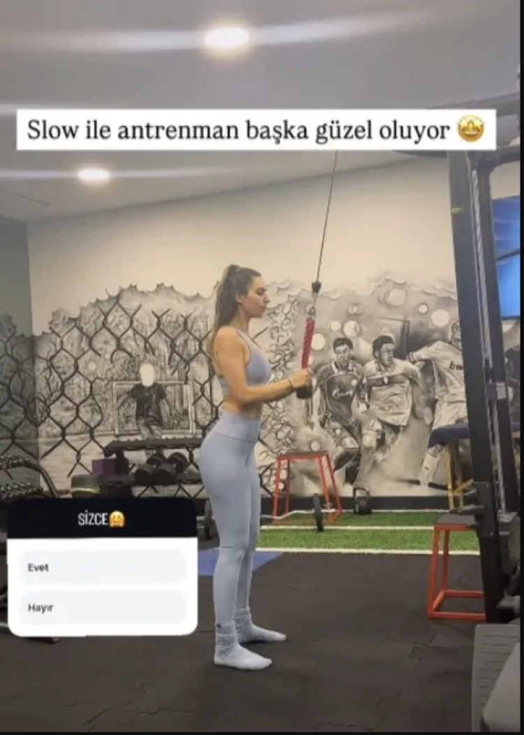 amine gülşe resim