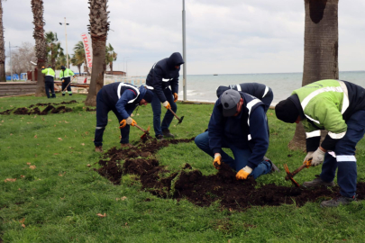 Yalova Belediyesi’nden kışa özel peyzaj çalışmaları