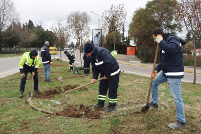 Peyzaj ve budama çalışmaları devam ediyor