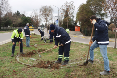 Peyzaj ve budama çalışmaları devam ediyor