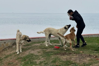 Sosyal sorumluluk ve doğa sevgisi: Öğrencilerden iki önemli etkinlik