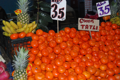 Yalova Semt Pazarı’nda işte bu haftaki fiyatlar…