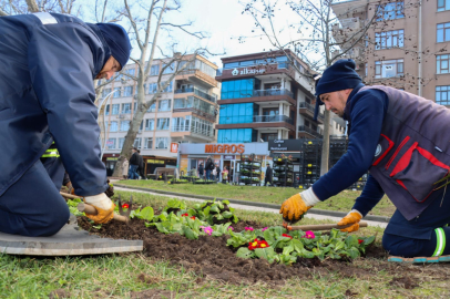 Akasya Park’ta çiçek ekimi gerçekleştirildi