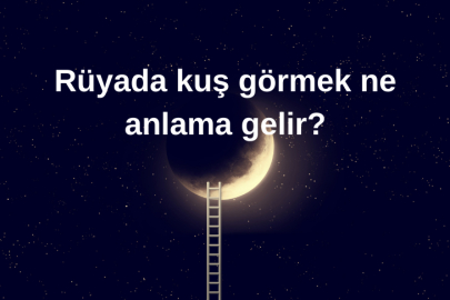 Rüyada kuş görmek ne anlama gelir?