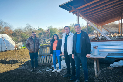 Yalova hayvancılık işletmeleri denetleniyor