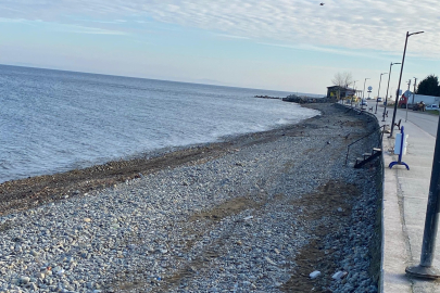 Teşvikiye’de deniz kenarı temizlendi