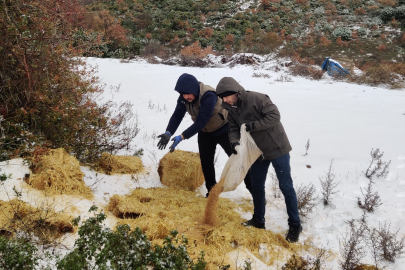 DKMP ekipleri yaban hayvanları unutmadı