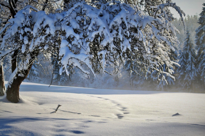 Meteoroloji uyardı! Yalova’da 4 gün kar yağacak