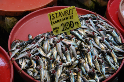 İşte, Yalova’da güncel balık fiyatları...